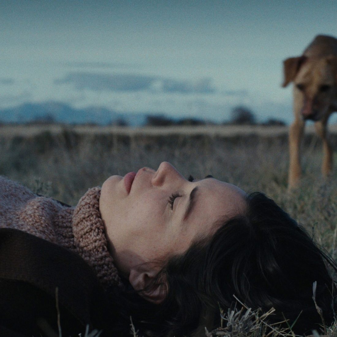 un amor 7 goya nominations