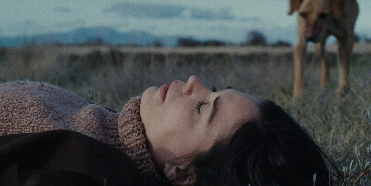 un amor got 7 goya nominations