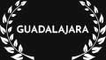 Festival Internacional de Guadalajara
